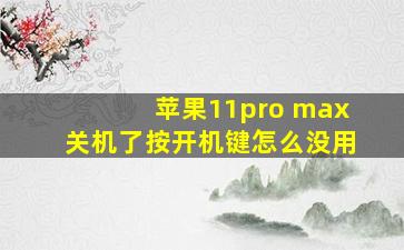 苹果11pro max关机了按开机键怎么没用